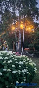 Casa sull'albero La Quiete in Piemonte - Image 3