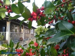 Casa do Pinto - Image 1