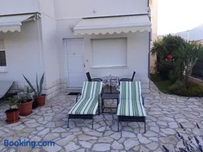 Palm paradise - Image 1
