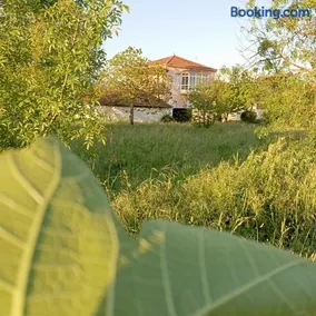 O toxal - Image 3
