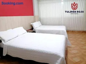 Hostal Terraoro - Image 3