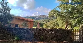 Tiny House nella natura Con Piscina privata "La sughereta" - Image 3