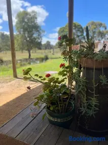 Concongella Cabin - Image 2