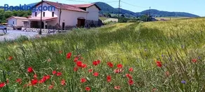 Domaine de Solémy - Image 4