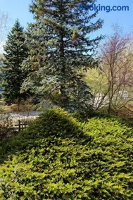 Csopaki promenade - Image 3