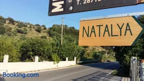 Natalya - Image 2
