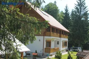 Arnica Montana - Image 1