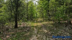 Private Secluded House 12 ac Nature Forest Retreat - Image 5