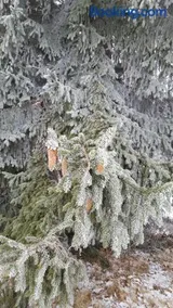 Potoczek 19 - Image 2