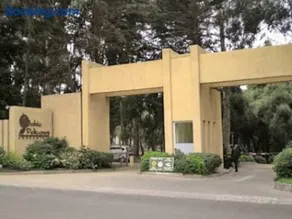 Bahia Pelícanos Horcón depto. en primera línea - Image 3