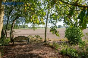 Drentse krent - Image 5