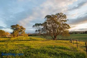 Beaudesert Cottage - Mudgee - Image 2
