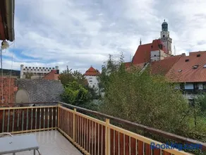 Apartmany U Lva - Image 1