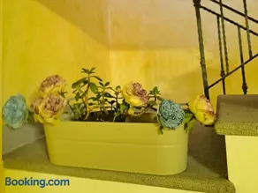 Casa Flora - Image 4