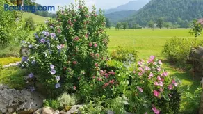 Gausrab - Image 3