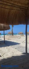 لؤلؤة البحر - Image 3