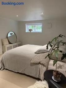 Newly renovated bright and modern basement for rent - Image 1