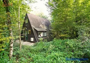 Bosmuis Ardennen, Genieten in de bossen in chalet 226 - Image 1
