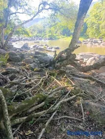 Pousada beira rio - Image 5