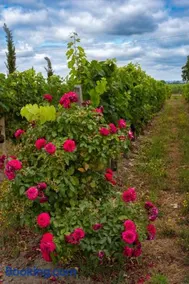 Château Vieux Clos Saint Émilion - Image 5