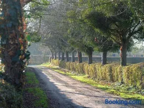 Hoefke Voort - Familievakantie midden in de natuur - Image 3