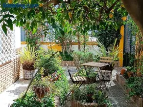 Casa Limonero con parking gratis junto a centro histórico - Image 2