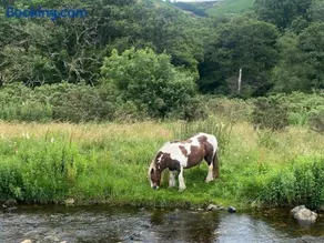 Bedwellty Lodge near BikePark Wales - Image 3