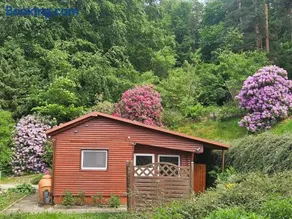 Ferienhaus in Geesthacht-Tesperhude direkt am Waldrand - Image 1
