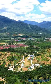 Happy Valley Eco Farm - Image 1