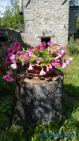 La casa del girasole - Image 1