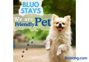 Bluo Classic 1BHK - Defence Colony Mkt - Image 4