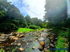 Kauri Coast TOP 10 Holiday Park - Image 3