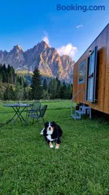 Vivere tra i prati di Sappada - Image 2