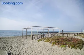 Da Chicco - Image 4