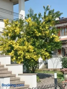 B & B Le Mimose - Image 4