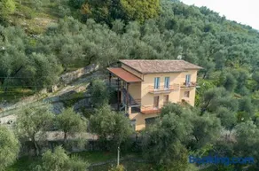 Madonna Dell'Aiuto True View Olivo - Image 2