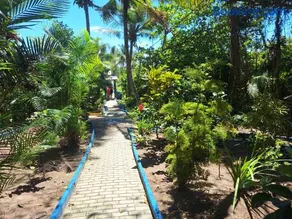 casa ilha de caribê - Image 5