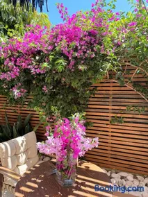 Carmena Residence - Image 2