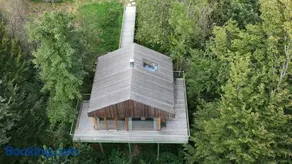 baumhaus buchengrün - Image 3