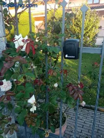 B&B L'Ortensia - Image 3