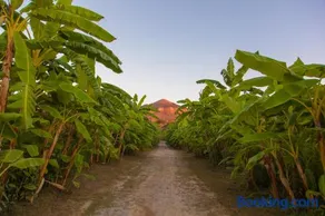 Rosmarino Park - Image 1
