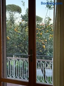 Lemon House Formia - Image 4