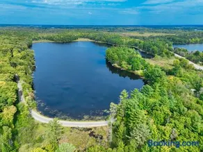 Lakefront Muskoka Cottage with Fire Pit and BBQ - Image 5