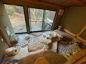 箱根温泉ヴィラ 源泉かけ流し bbq付き グループ宿泊に最適 - Image 3