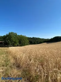 Gîte du Vallon de la Pleu - Image 3