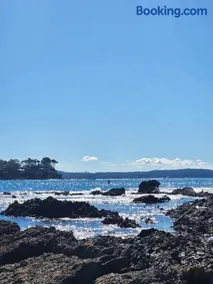 Dolphinview - Image 1