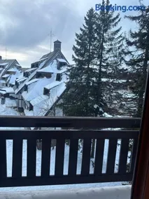 Vila Kopaonik Apartmani Milenkovic - Image 2