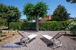 Agriturismo La Sassicaia - Image 3