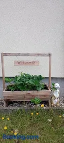 Ferienwohnung Waldblick in Frauenstein - Image 2