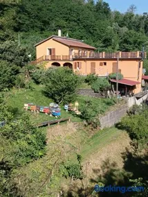 #bordigona - Image 1